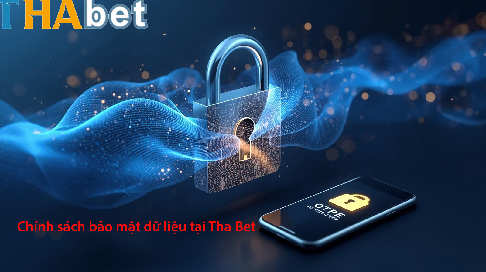 Chính sách bảo mật dữ liệu tại Tha Bet
