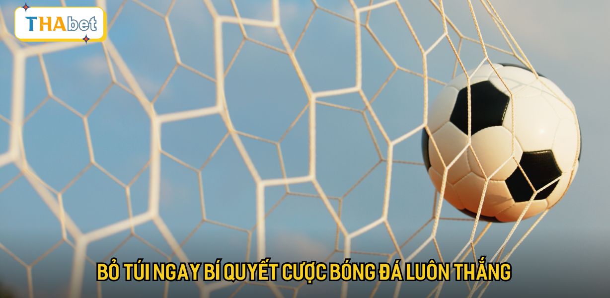 Bỏ túi ngay bí quyết cược bóng đá luôn thắng