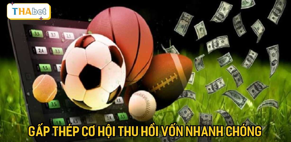 Chiến lược gấp thép cơ hội thu hồi vốn nhanh chóng