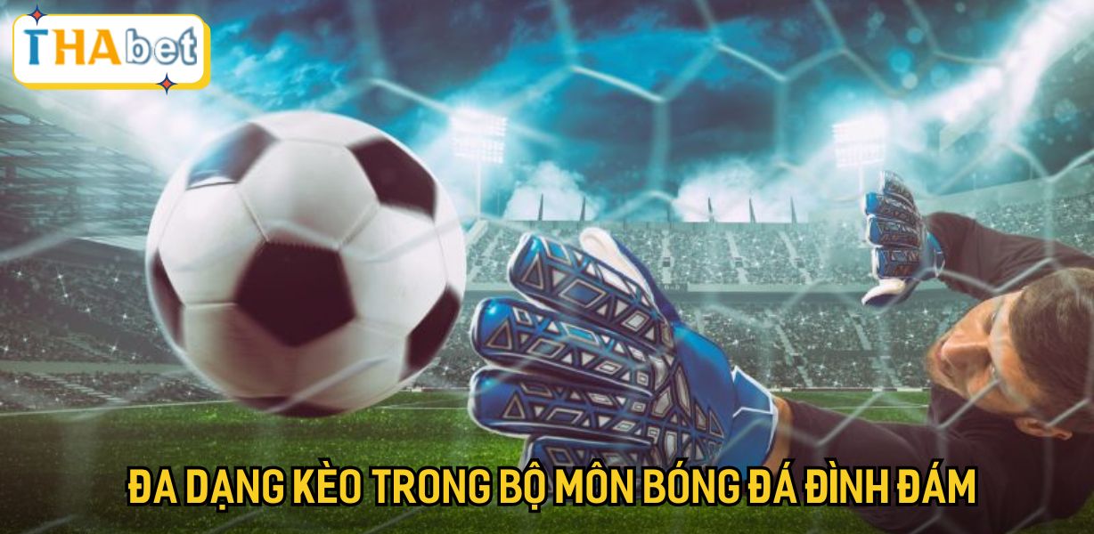 Đa dạng kèo trong bộ môn bóng đá đình đám