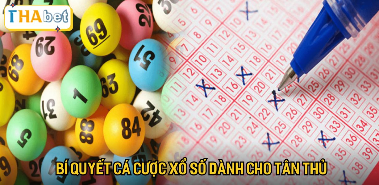 Bí quyết cá cược xổ số dành cho tân thủ